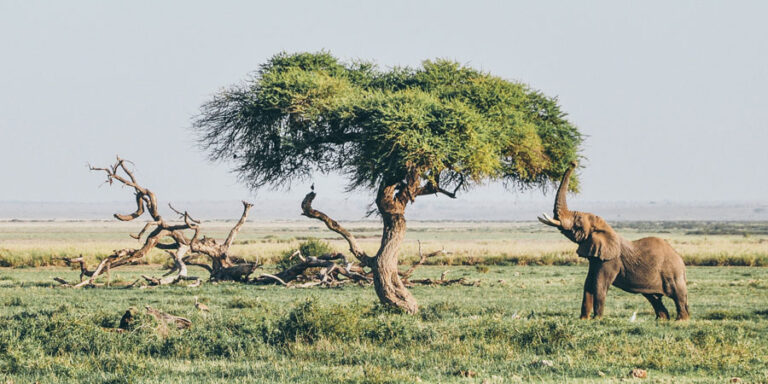 When is the best time to visit Sri Lanka