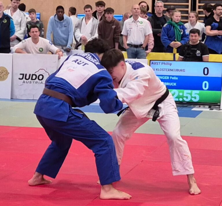 Ein Aust ballt die Faust